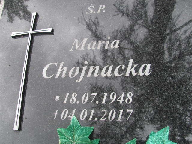 Maria Chojnacka 1948 Siechnice - Grobonet - Wyszukiwarka osób pochowanych